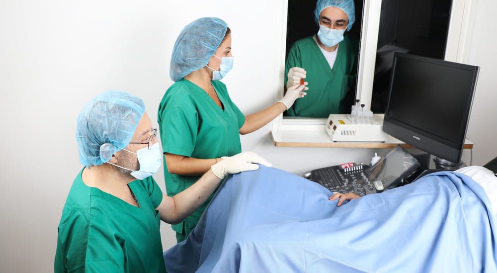 IVF and ICSI in Azoury IVF Lebanon Clinic. The full guide. IVF and ICSI in Azoury IVF Lebanon Clinic. The full guide.