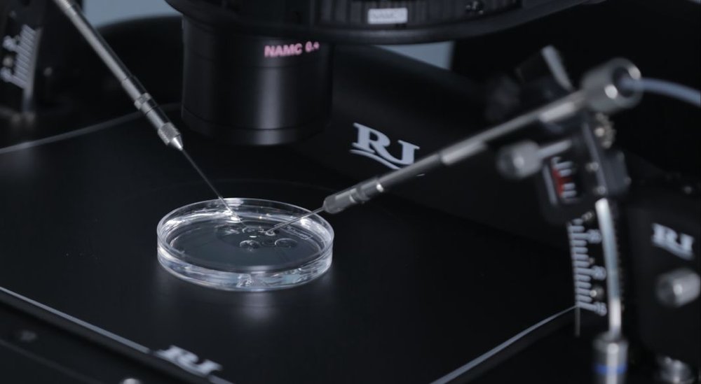 IVF treatment for women over 40 at Azoury IVF Clinic IVF treatment for women over 40 at Azoury IVF Clinic