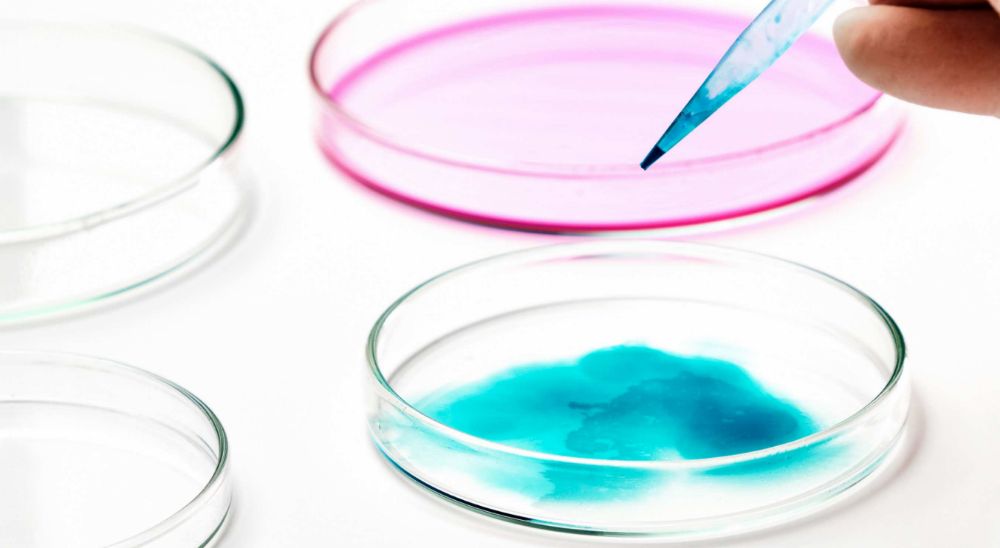 Embryo biopsy for sex selection in lebanon in Azoury IVF lebanon Clinic Embryo biopsy for sex selection in lebanon in Azoury IVF lebanon Clinic