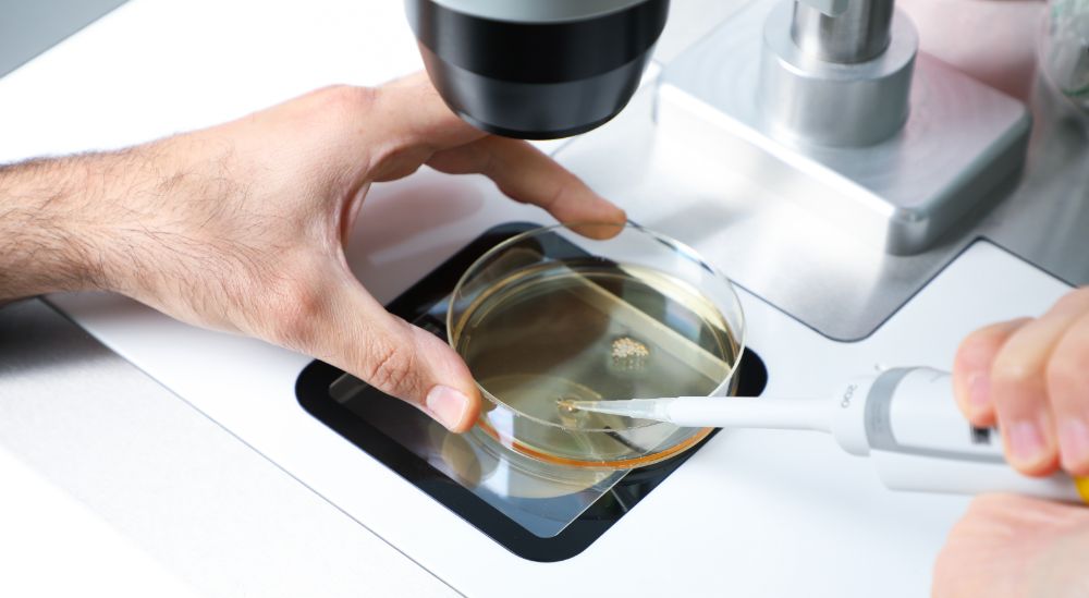 Azoury IVF Lebanon Clinic embryologist performing ICSI Azoury IVF Lebanon Clinic embryologist performing ICSI