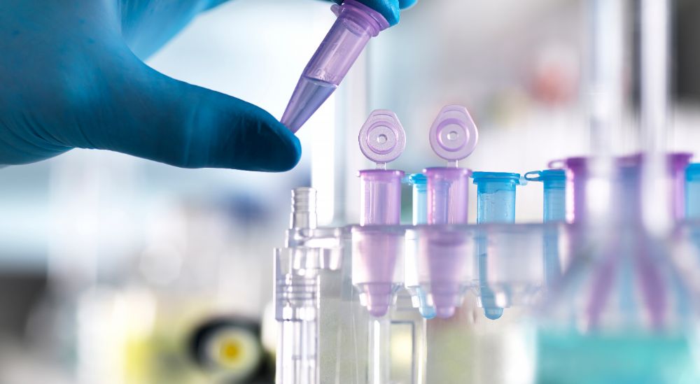 Embryo sex selection in Lebanon is achieved through genetic testing of the embryos before their transfer to the uterus. Embryo sex selection in Lebanon is achieved through genetic testing of the embryos before their transfer to the uterus.